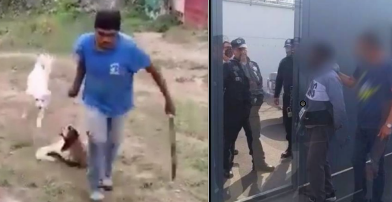 Fiscalía detiene a SUJETO que mató a “machetazos” a una perrita en Ixtapaluca