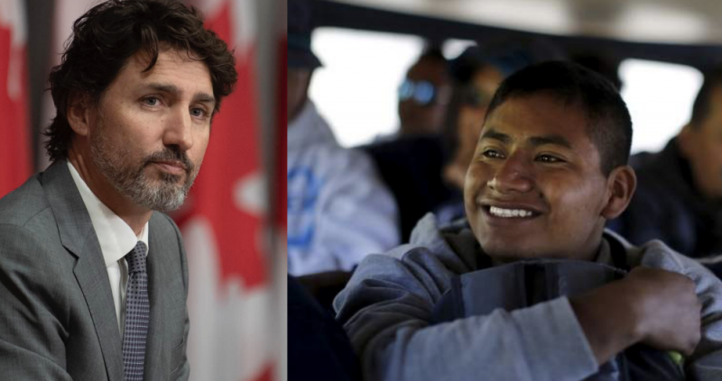 Canadá busca MEXICANOS chambeadores que quieran ganar más de 46 mil pesos al mes 