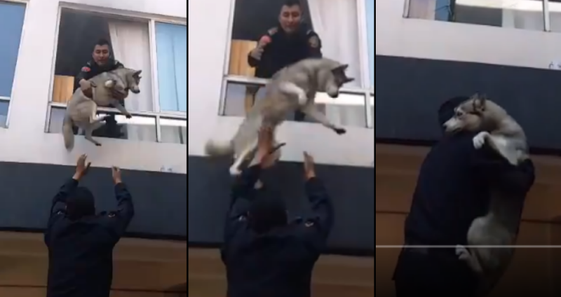 Policías de la CDMX se visten de HÉROES y rescatan a perrito de un incendio