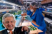 ¡Enhorabuena! México RECUPERA 7.8 millones de EMPLEOS que perdió a causa del Covid-19