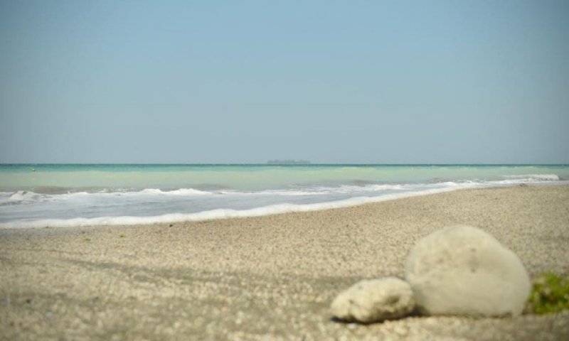 PLAYAS de Veracruz lucen un TURQUESA espectacular SIN TURISTAS