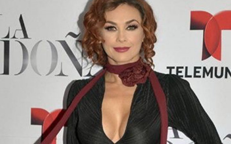 Aracely Arámbula se “presume” en lencería y bikini...hace arder las redes. 