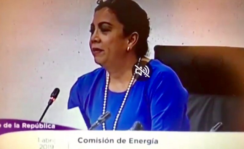 “Tenemos que destruir la naturaleza para progresar”, dice aspirante a la CRE. (VIDEO)