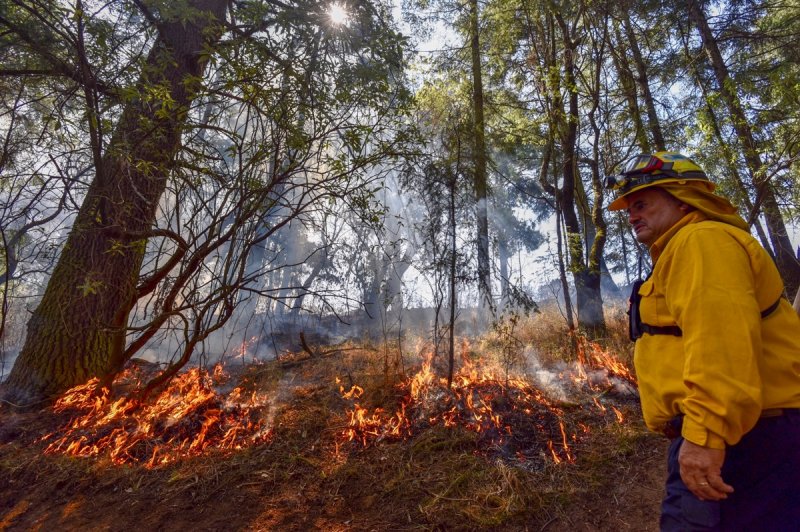 Gobierno de AMLO redujo significativamente el presupuesto para combate a incendios