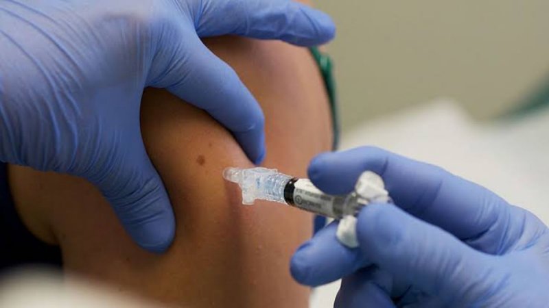 Israel prueba con ÉXITO VACUNA contra el CORONAVIRUS en hámster 