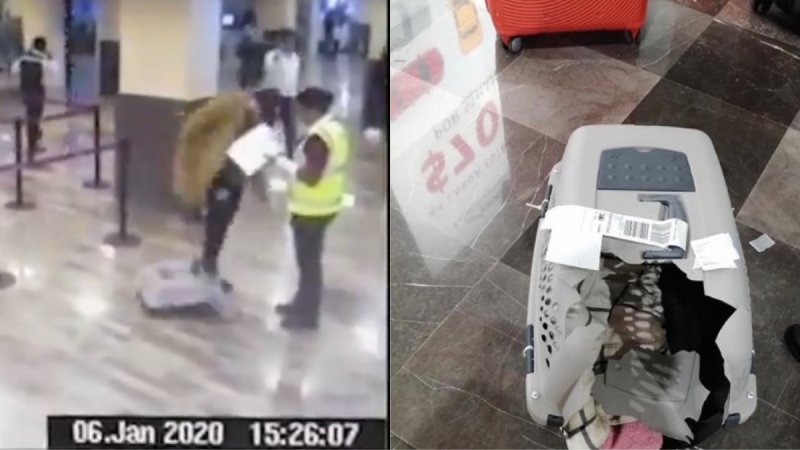 VIDEO: Pasajero miente y dice que le rompieron la jaula de su perro; Volaris lo exhibe, fue él. 