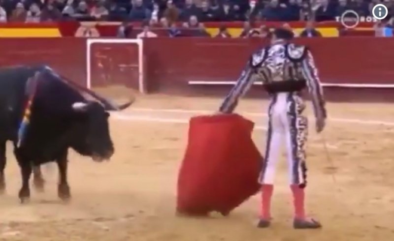 Toro embiste por “ditroit” a Enrique Ponce. 