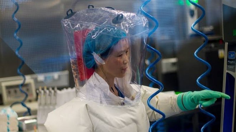 El coronavirus es solo UNO, hay12 NUEVOS y PELIGROSOS VIRUS: CIENTÍFICA 