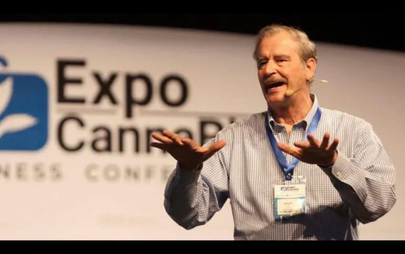 Vicente Fox hace berrinche y explota contra programas del Bienestar 