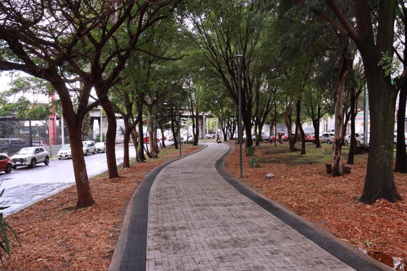 Gobierno de Guadalajara entrega rehabilitación del camellón de Paseo de la Arboleda  