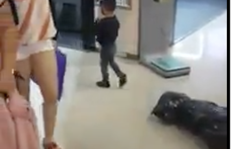 Niño sicario causa terror en Halloween; arrastraba un cuerpo embolsado por toda la plaza.
