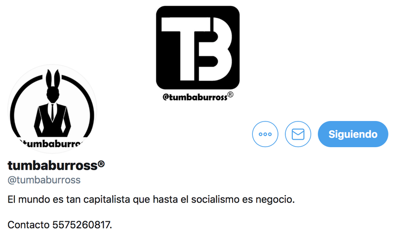 Tumbaburros revira al Presidente AMLO: 