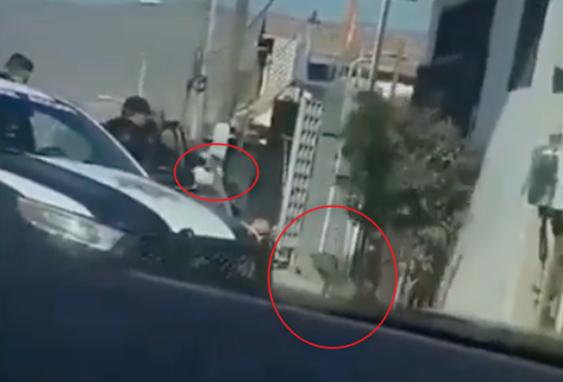 Causa indignación policía que es sorprendido disparando a quemarropa contra un perro amarrado