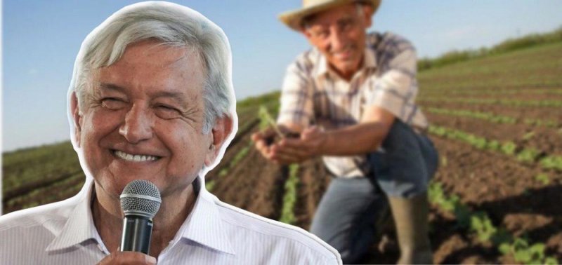 Política de agricultura de AMLO logra su mayor crecimiento del PIB en 20 trimestres.