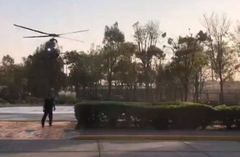 Mamá e hijo son atacados brutalmente por un perro en el jardín botánico de CU