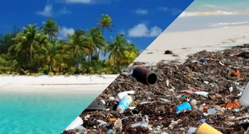 Cofepris denuncia 3 playas en Acapulco con exceso de heces fecales