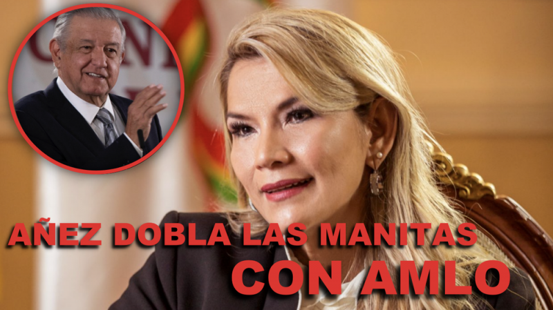 La usurpadora Añez dobla las manos con AMLO y pide a México tener relación de 