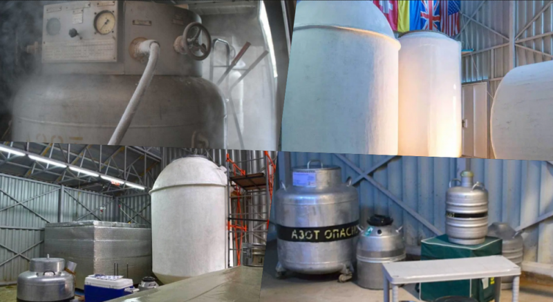 Si quieres revivir algún día, esta es tu mejor opción 