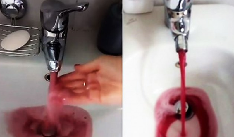 Por falla en una bodega sale vino tinto en lugar de agua de las tuberías 