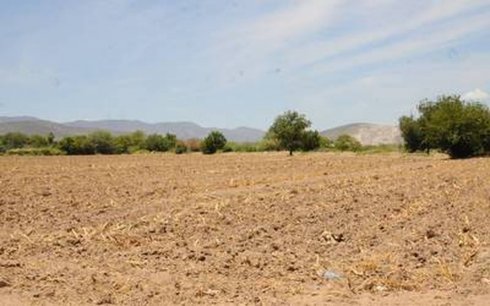 Tío abusa sexualmente de menor de tres años y la deja morir en campo de cultivo