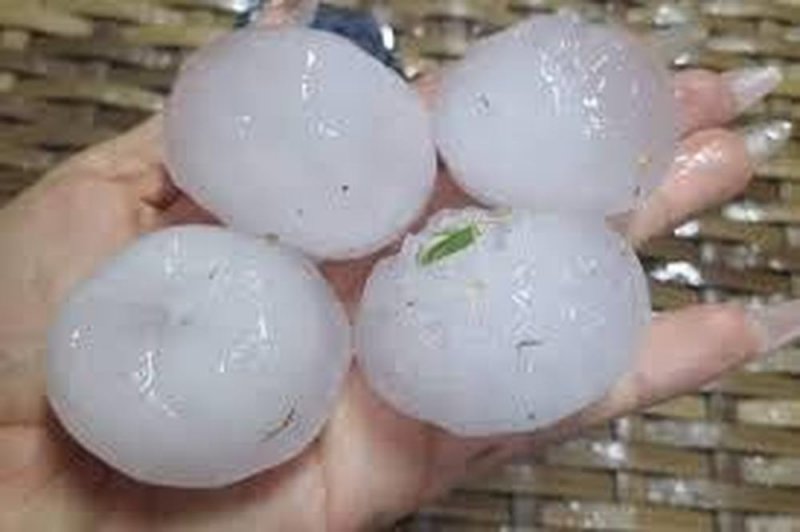 Cae GRANIZO del tamaño de pelotas de Béisbol y deja SEVERAS afectaciones en Guanajuato