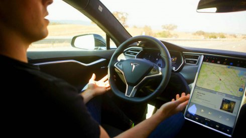 Se vuelve viral video de auto TESLA que esquiva jabalí al ir en piloto automático