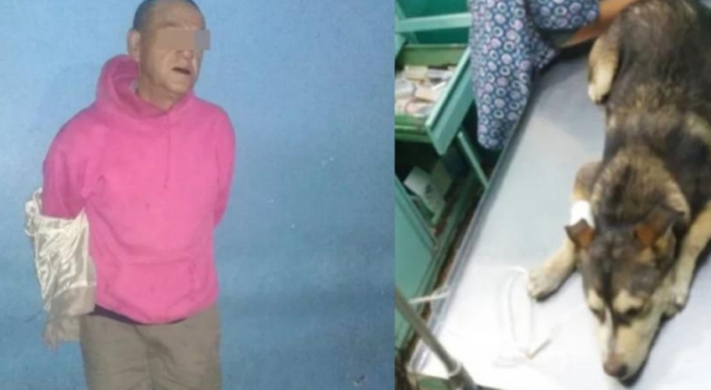 Sujeto que violó y mató a PERRITA en Neza pasará un año tras las REJAS