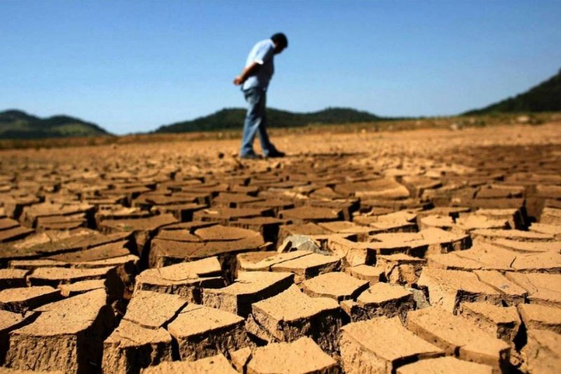 Advierte la ONU: la humanidad tiene POCOS AÑOS para evitar la sexta extinción masiva de especies