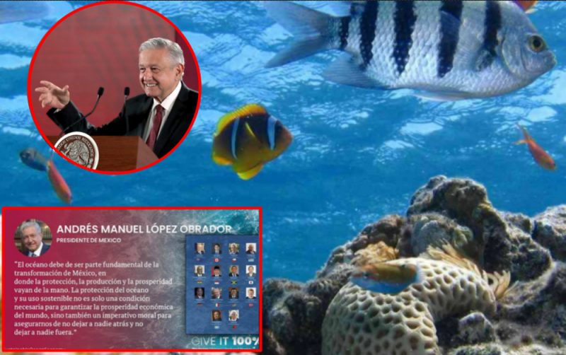 México se suma junto a 13 países más a proyecto para PROTEGER y restaurar los océanos