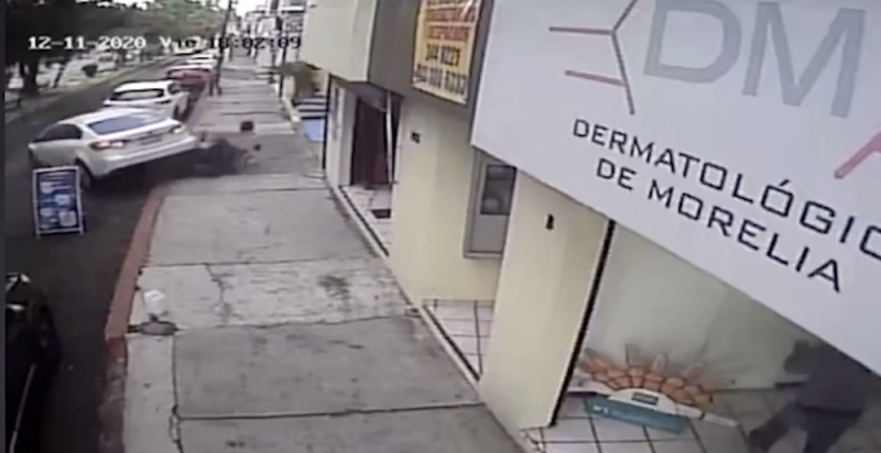 Conductor se pone vivo y ATROPELLA a dos ratas que intentaron ASALTARLO (VIDEO)