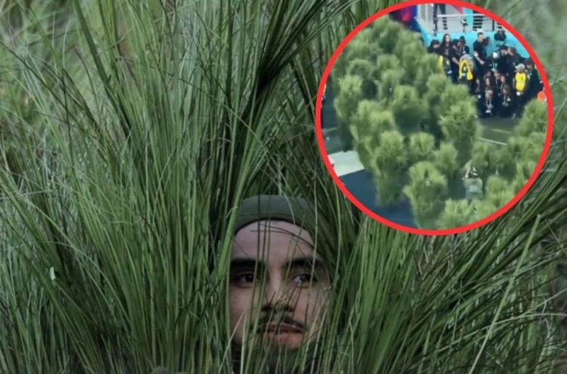 Esto pagaron por ser un arbolito en show de Bad Bunny del Super Bowl 