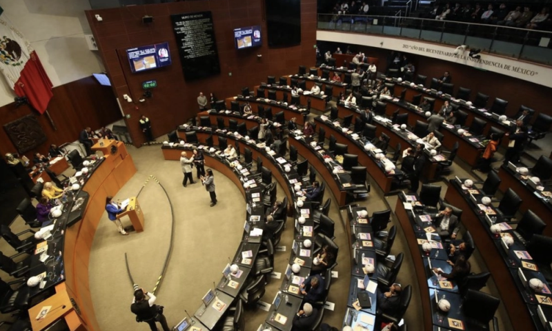 publicaciones/Senadores de Morena acuerdan avalar ‘Plan B’ en materia electoral de Sheinbaum