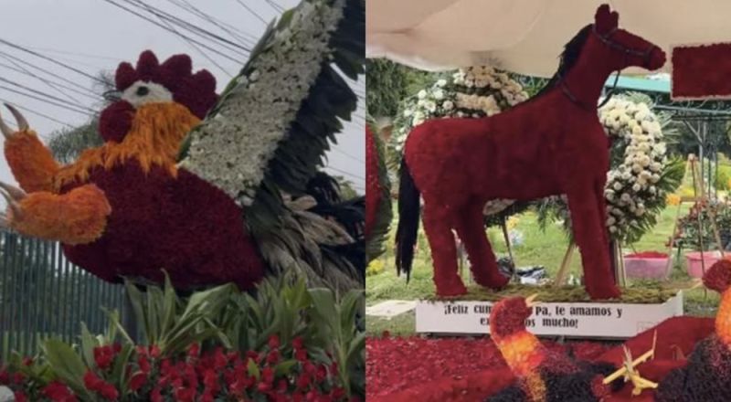 ¿Quién envió los gallos de flores a la tumba de M3ncho?