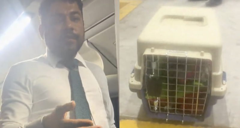  Pasajera denuncia que fue obligada a bajar de autobús de Estrella Blanca por viajar con su perrita