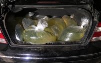 Detienen a dos infividuos que transportaban huachicol en ¡bolsas de plástico! 