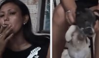 Mujer apaga cigarrillo en ojo de un perrito y le rompe sus patita; es buscada. 