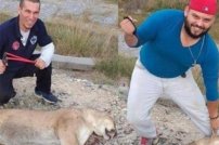 Presumen caza de puma en redes y Profepa por ellos.