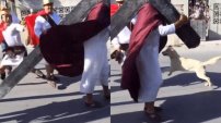 Perro defiende a Jesucristo de los azotes en Iztapalapa. 