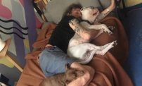 Muere el actor Pablo Fustec por tratar de salvar a su perrita en un pozo de azufre en Michoacán 