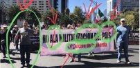 “Educa a un Fifí”, tendencia avasalladora en redes luego de que derechairos mostraron el “cobre”