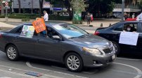 Miles de mexicanos SALEN en caravana para pedir la RENUNCIA de AMLO