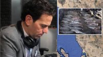 Este es el “Cártel de la Totoaba” que amenazó a Loret de Mola