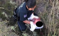Mujer da a luz y abandona su bebé a un costado de la carretera; un vehículo le pasa por encima.