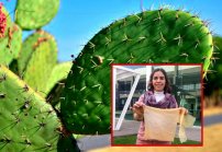 Científica mexicana crea plástico ecológico con nopal, no contamina