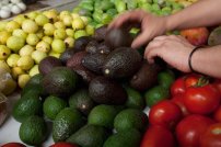 Precio del Aguacate podría alcanzar los 130 pesos por kilo