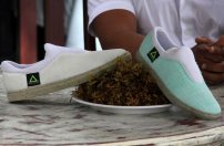 Mexicanos aprovechan el sargazo y crean tenis, libretas y casas