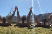 Asolearse el Ano, la nueva moda entre millenials para prevenir las hemorroides ¿Te animas?