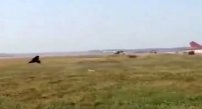 Se disfraza de oso para ahuyentar monos de la pista de aterrizaje (VIDEO)