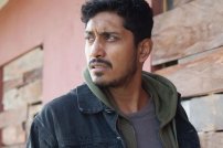 Actor de la Serie 