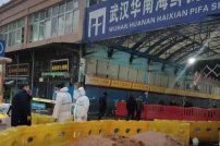 Reconoce la OMS que el MERCADO de Wuhan sí tuvo que ver con el Covid-19